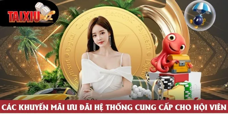 Các khuyến mãi ưu đãi hệ thống cung cấp cho hội viên