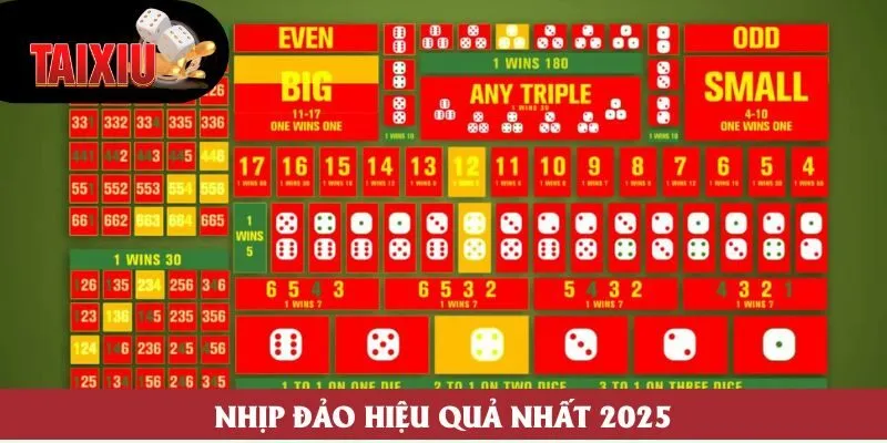 Nhịp đảo hiệu quả nhất 2025