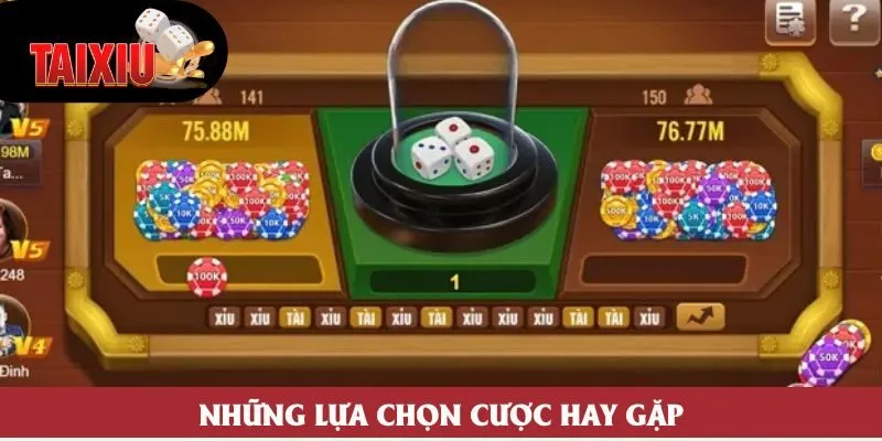 Những lựa chọn cược hay gặp