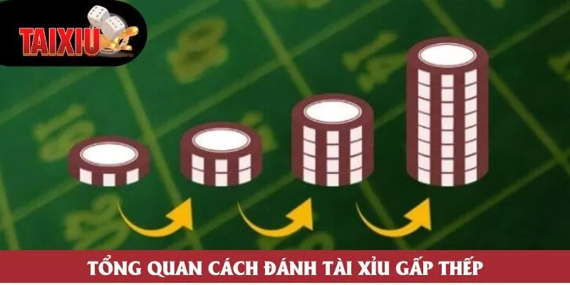 Tổng quan cách đánh tài xỉu gấp thếp