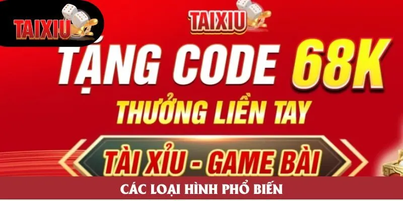 Các loại hình phổ biến