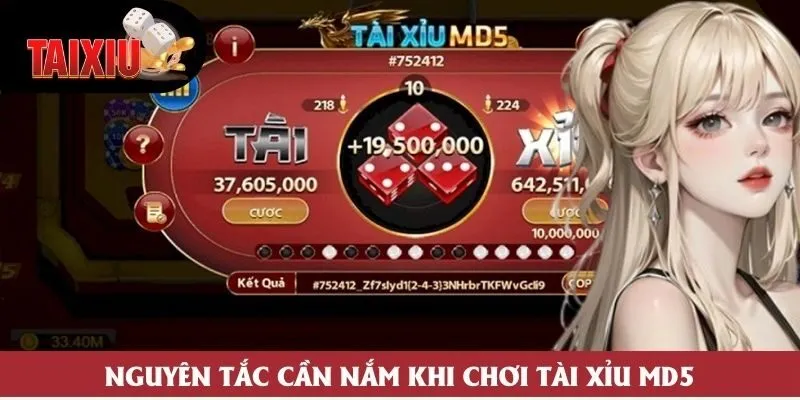 Nguyên tắc cần nắm khi chơi Tài Xỉu MD5