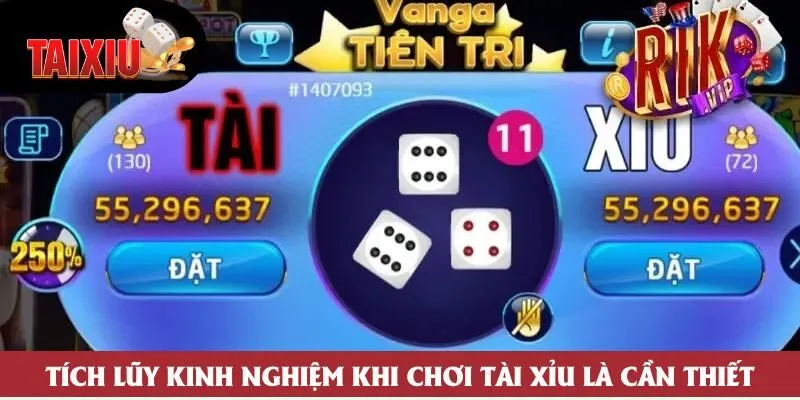 Tích lũy kinh nghiệm khi chơi tài xỉu là cần thiết