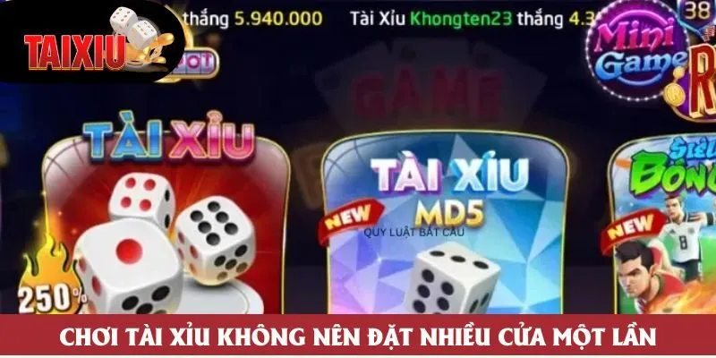 Chơi tài xỉu không nên đặt nhiều cửa một lần