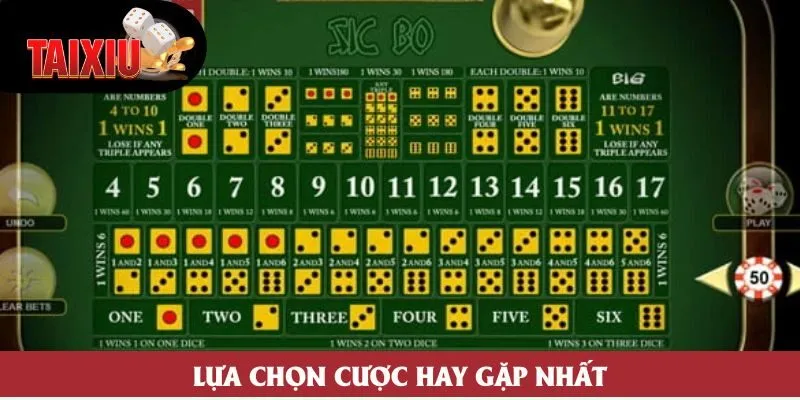 Lựa chọn cược hay gặp nhất