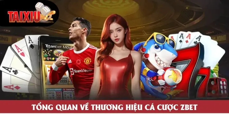 Tổng quan về thương hiệu cá cược Zbet